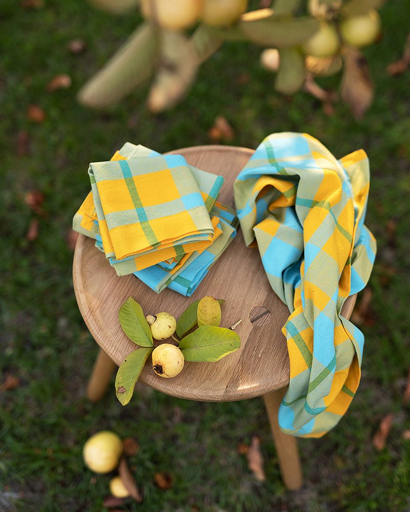 Checkered Tablecloth
