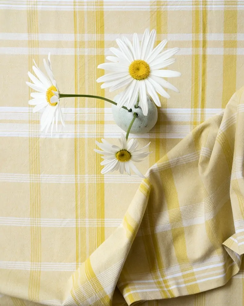 Checkered Tablecloth
