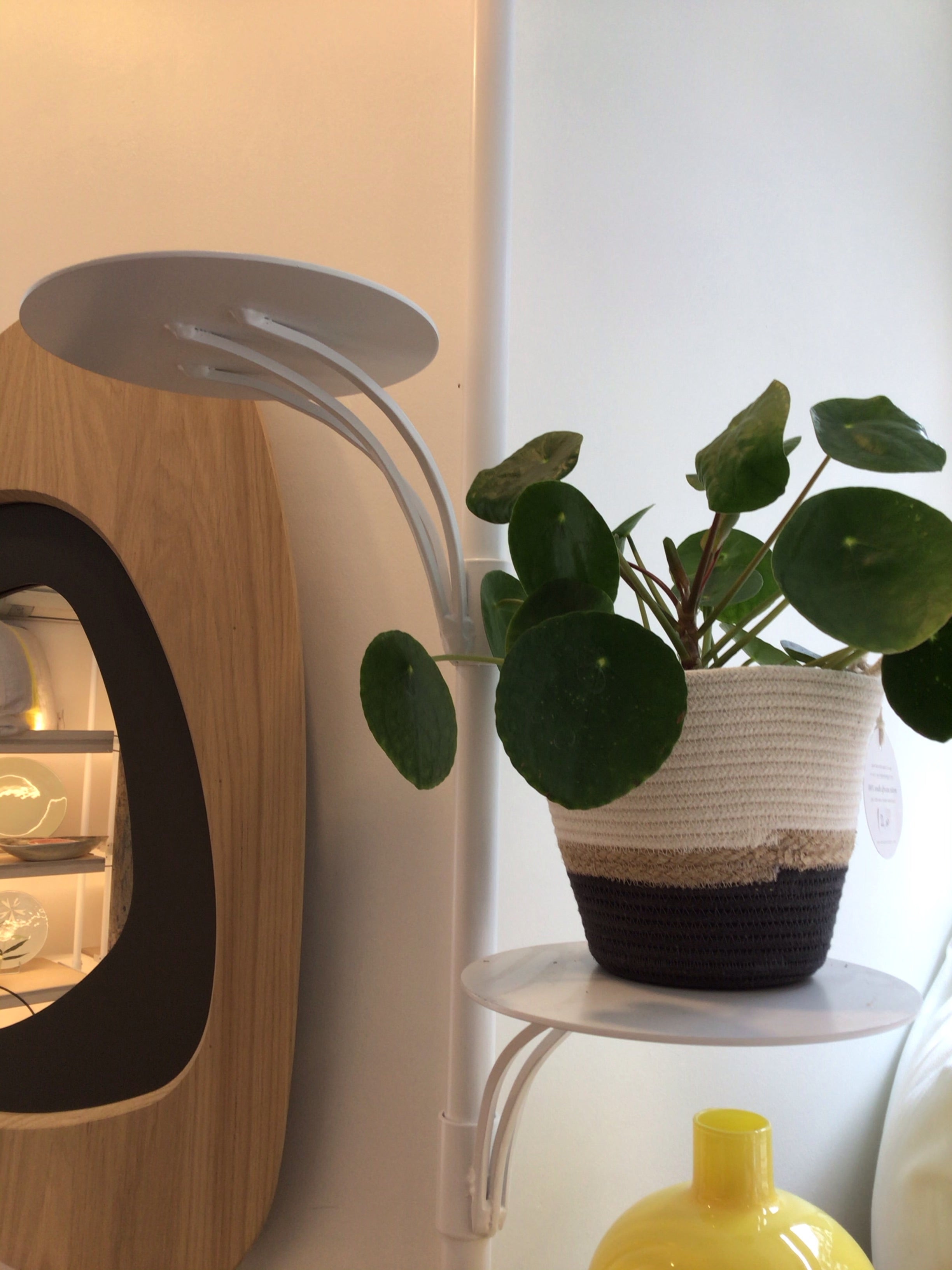 Étagères modulables « Pétales »