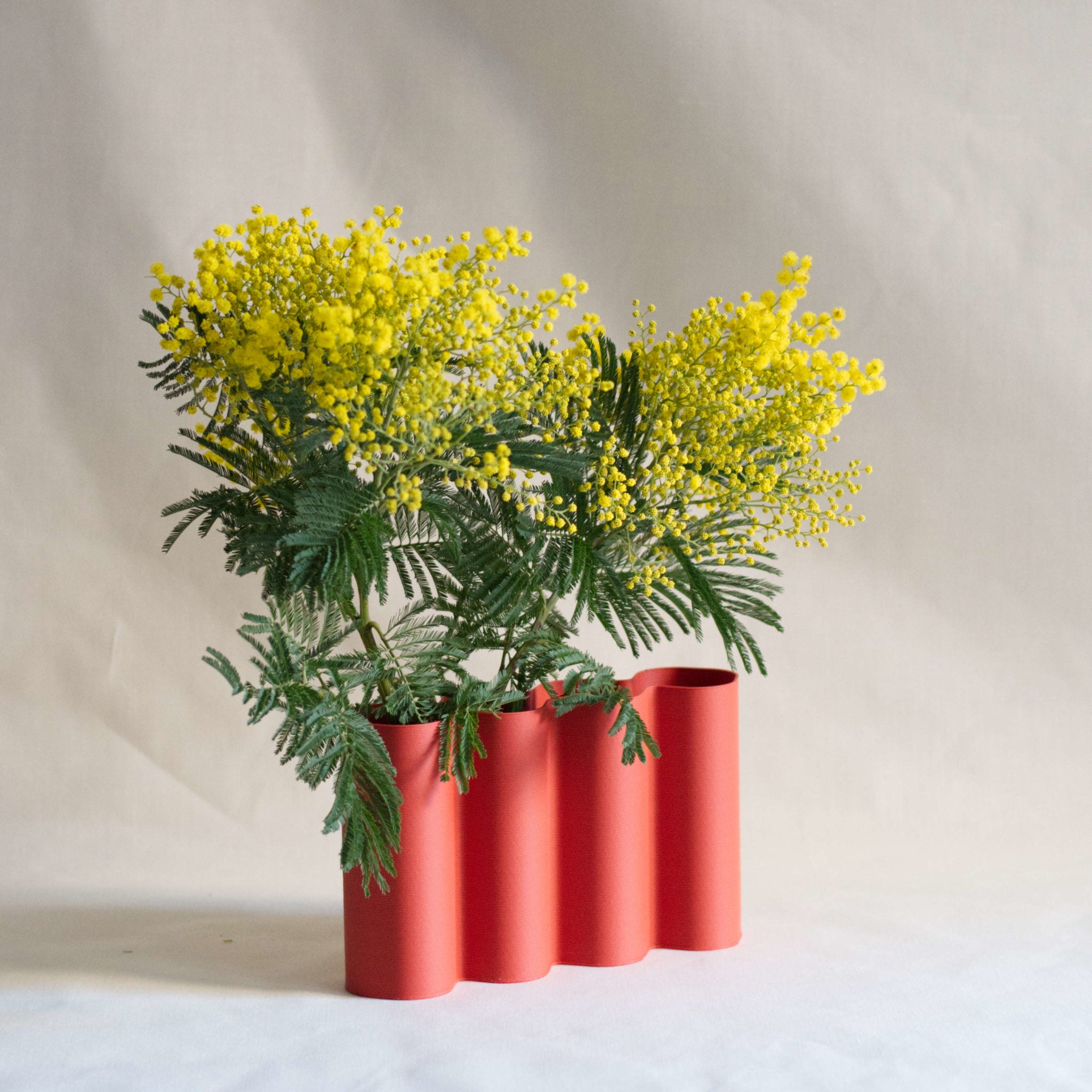 Vase Alvaro 3D