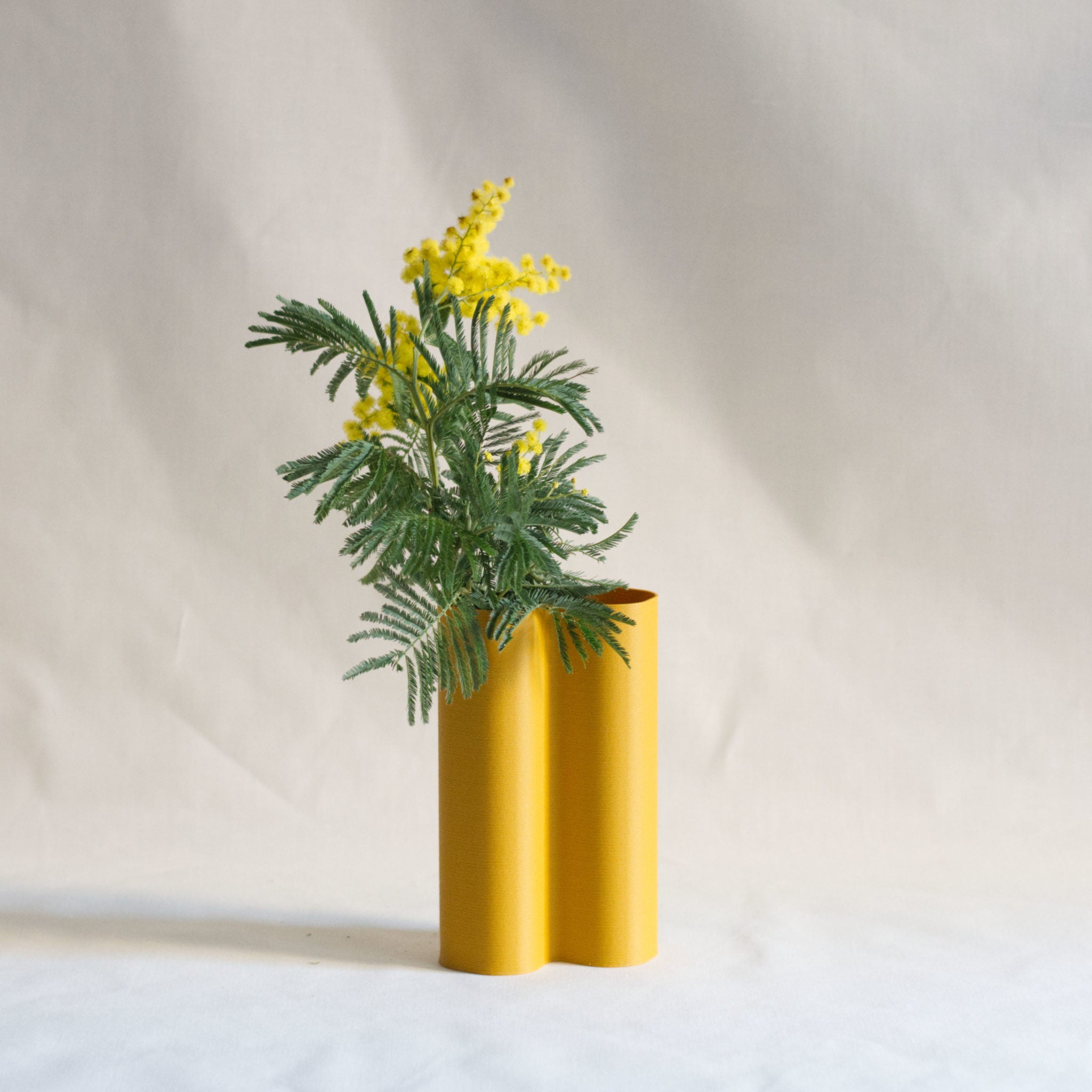Vase Alvaro 3D