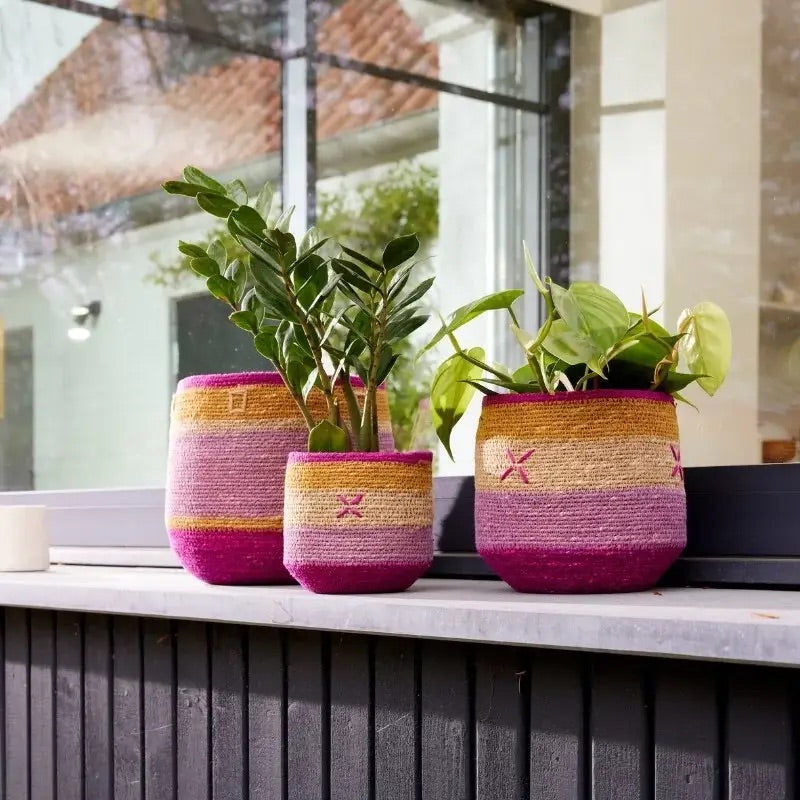 Panier-cache-pot violine/ocre