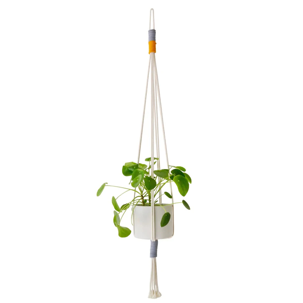 Plant hanger/cache-pot